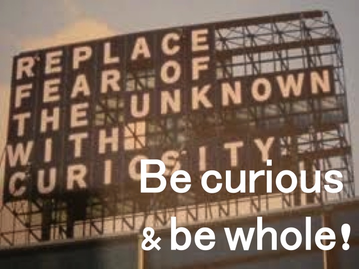 Be curious & be whole